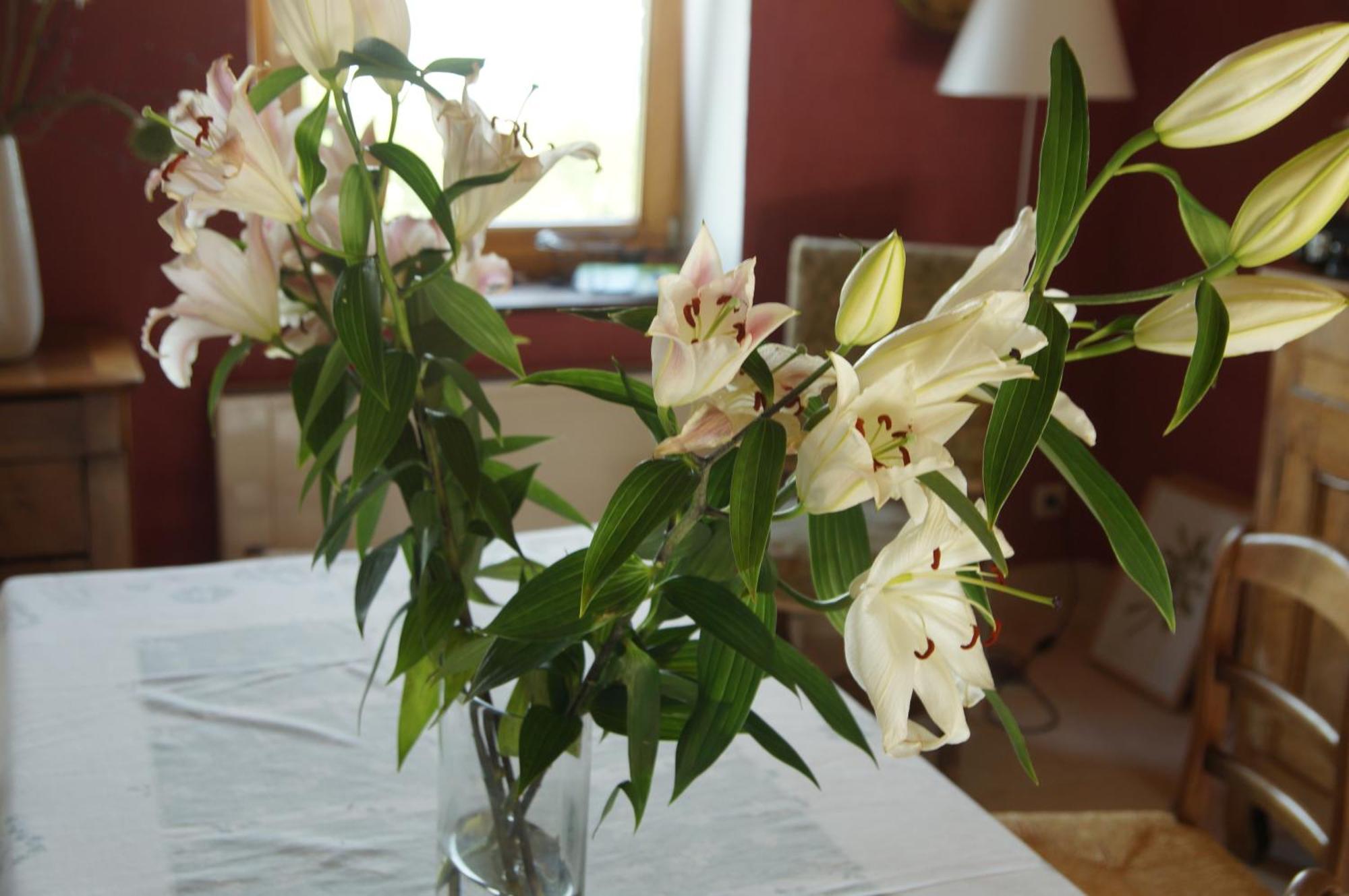 Le Grand Noe Bed and Breakfast Roisey Δωμάτιο φωτογραφία