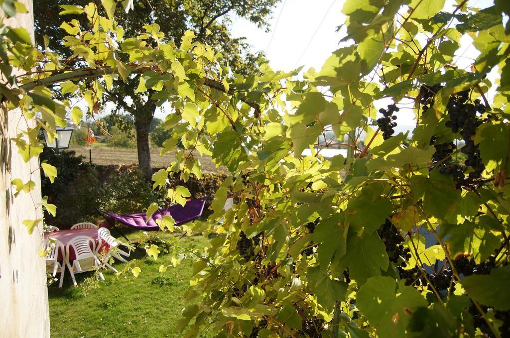 Le Grand Noe Bed and Breakfast Roisey Εξωτερικό φωτογραφία